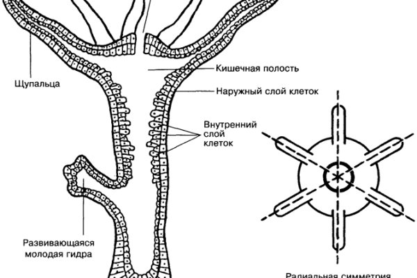 Кракен сайт юнион