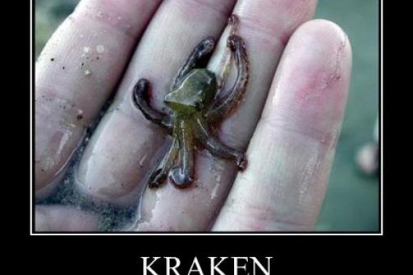 Kraken ссылка kraken torion